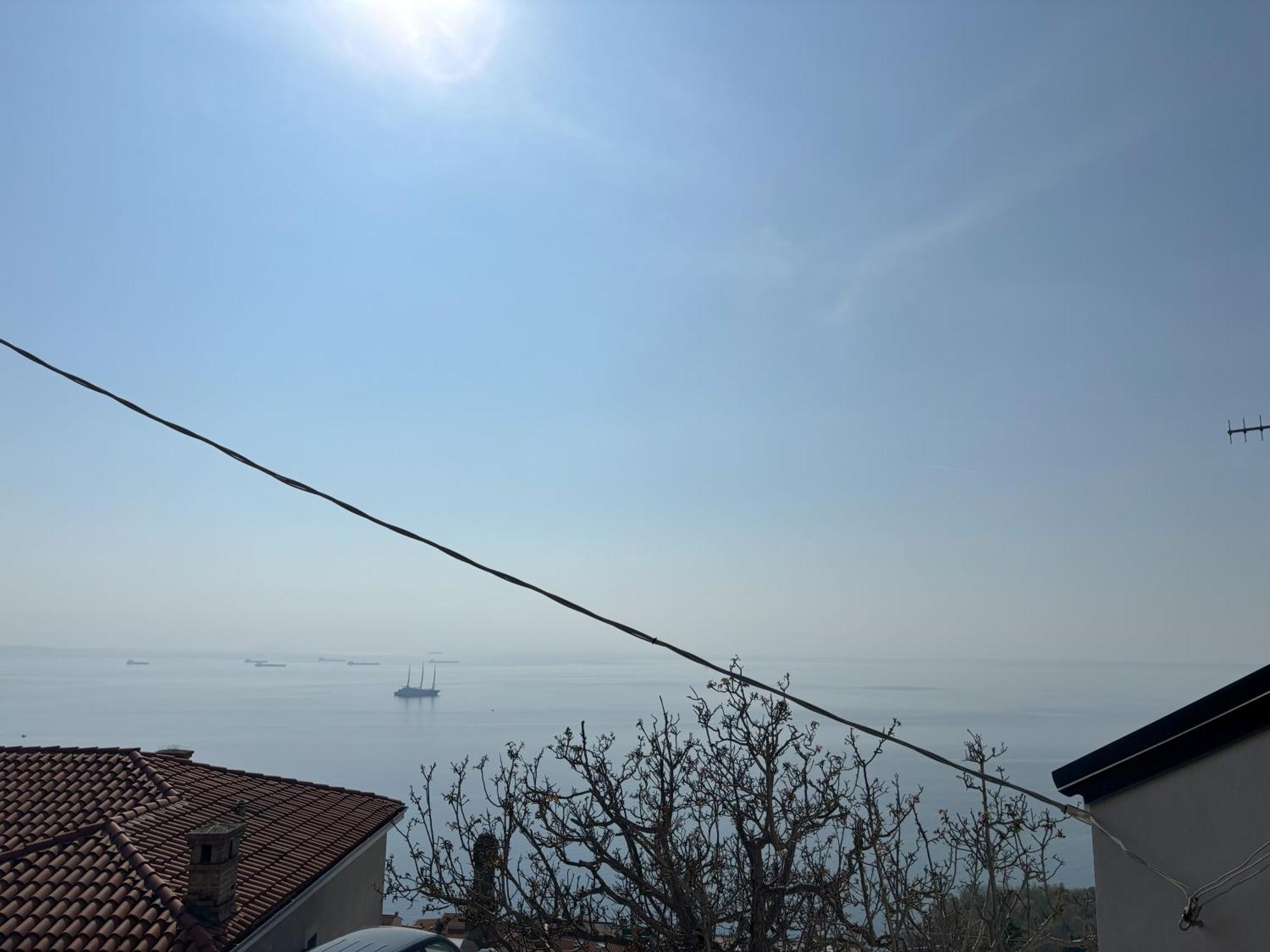 Affitto Turistico Via Bonomea 219-1 Leilighet Trieste Eksteriør bilde